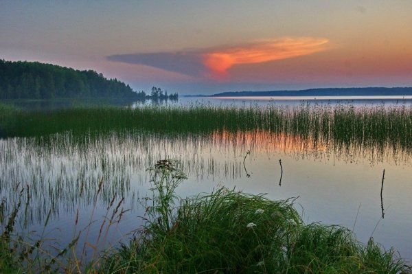 Ковжское озеро Вологодская область
