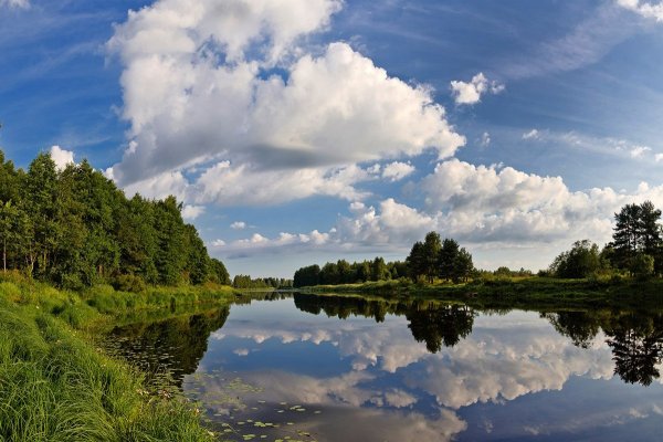 Река Молога Тверская область