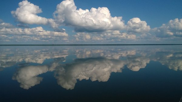 Исток Сухоны Кубенское озеро