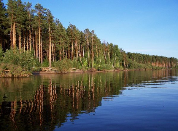 Рыбинское водохранилище Сосновый Бор