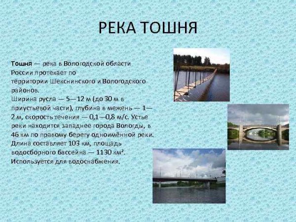 Самые крупные реки Вологодской области