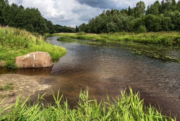 Река Вожега