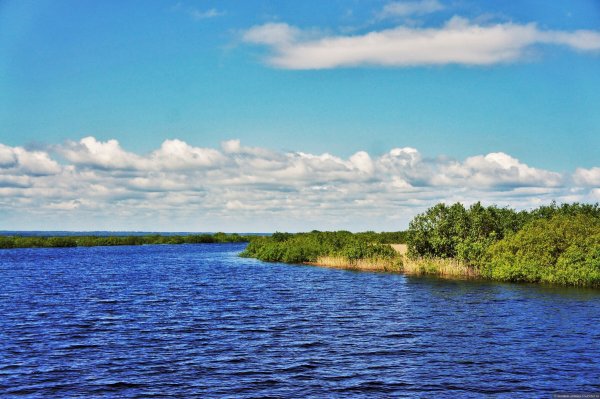 Река Кубена Вологодская