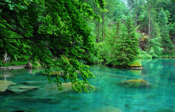 Изумрудное озеро зеленолес