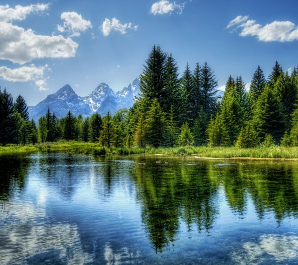 Озеро в лесу