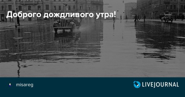 Доброе дождливое утро понедельника