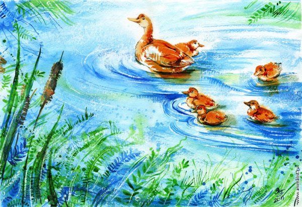 Пруд с утками акварелью