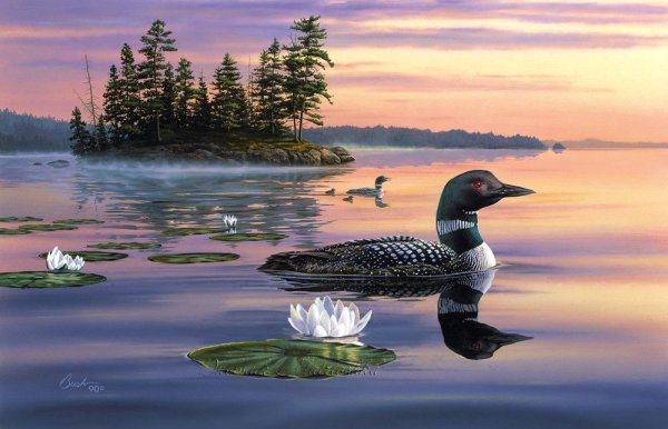 Даррелл Буш картины