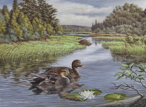 Утки на озере живопись