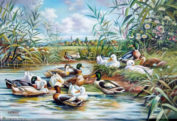 Живопись с утками