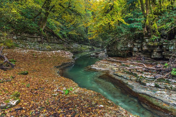 Каньон реки Псахо Сочи