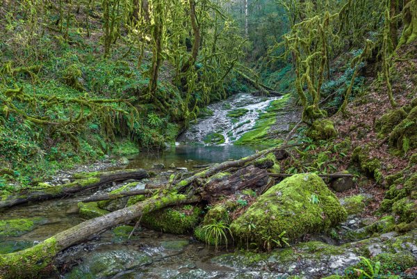 Сочинский национальный парк