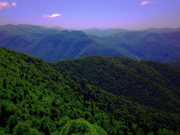 Заповедник Сочинский национальный парк