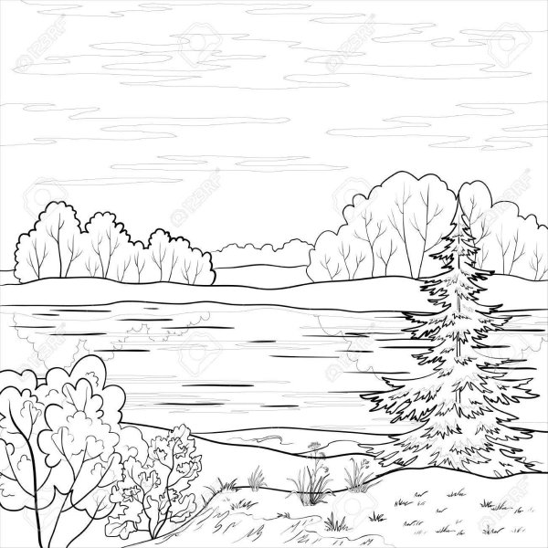 Лес и речка раскраска