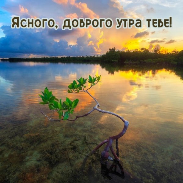 Доброе утро природа с надписью