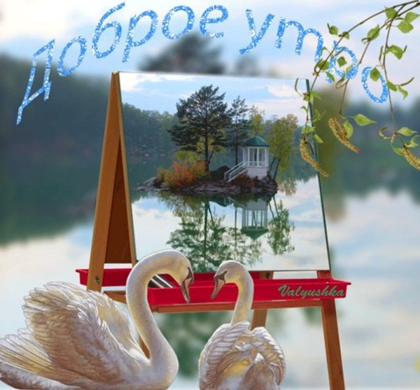 Доброе утро лебеди