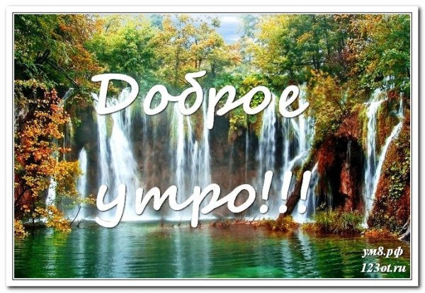 Ватсап доброе утро природа