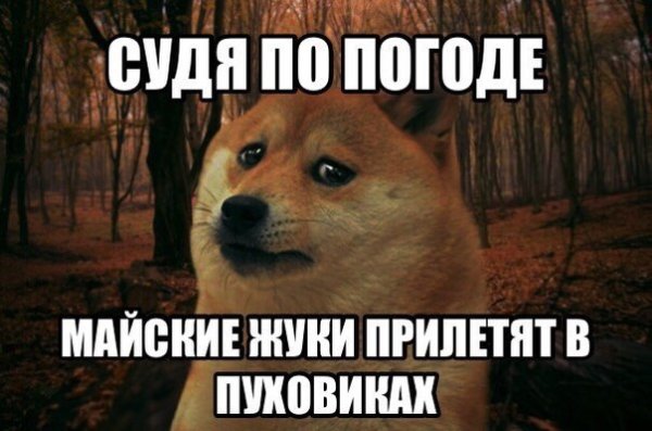 Шутки про майские