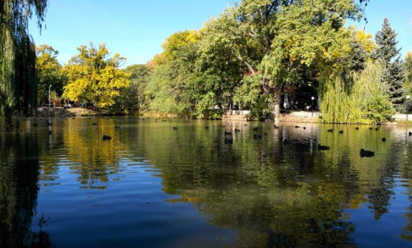 Саратов Горпарк парк