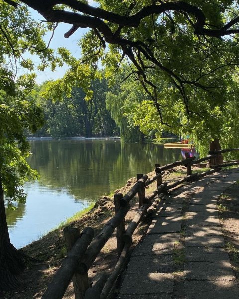 Горпарк Саратов