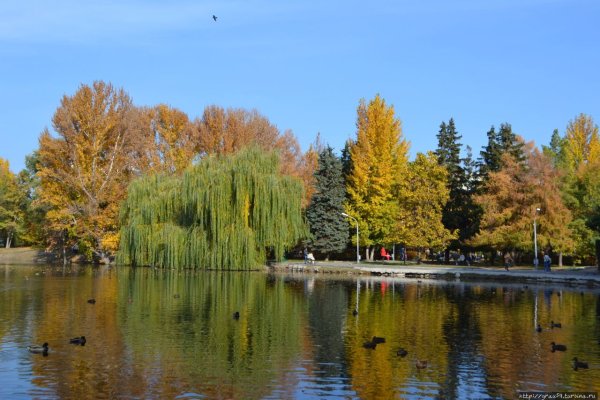 Горпарк Саратов