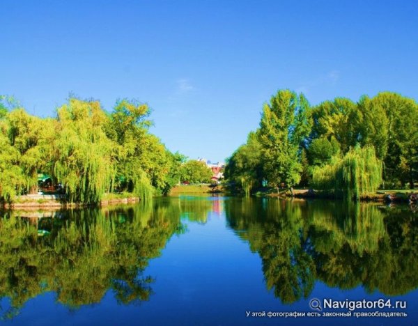 Парк Лукоморье Саратов