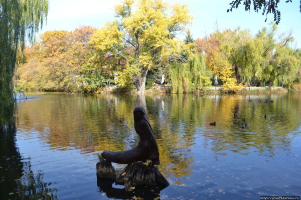 Горпарк Лукоморье Саратов