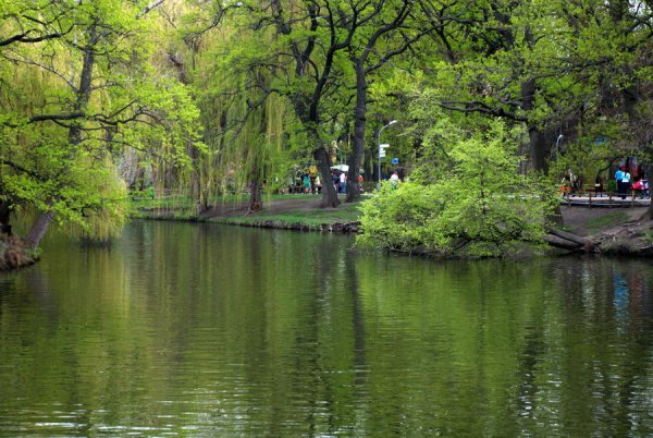 Городской парк Саратов