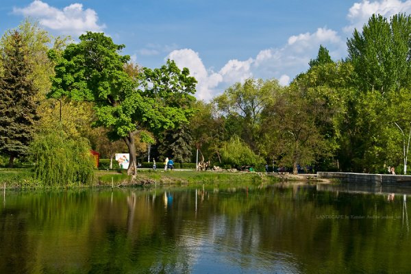 Пруды городской парк Саратов