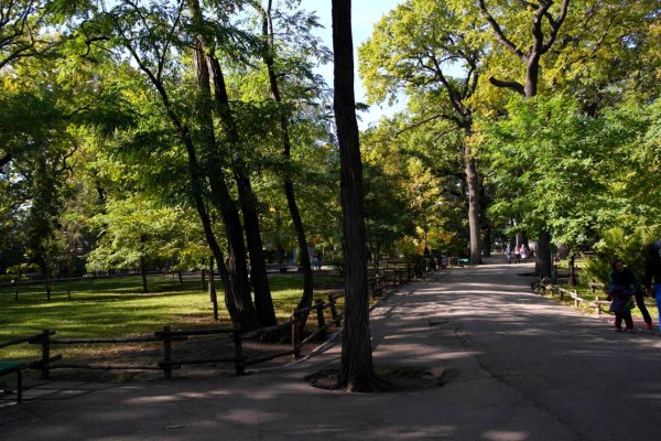 Парк им Горького Саратов