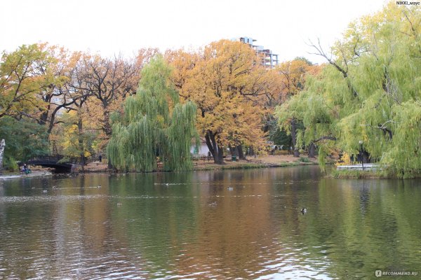 Горпарк Саратов осень