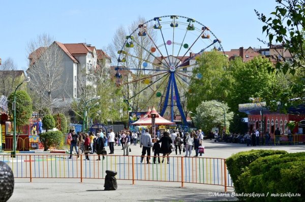 Городской парк Саратов