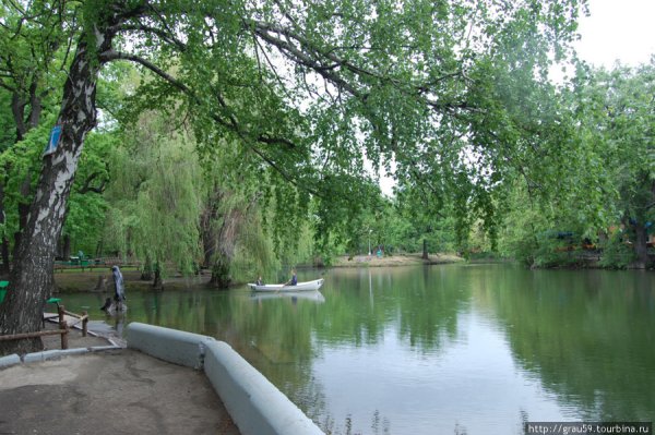 Липки и Лукоморье Саратов
