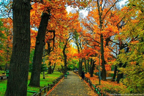 Саратов Горпарк парк