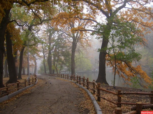 Горпарк Саратов осень