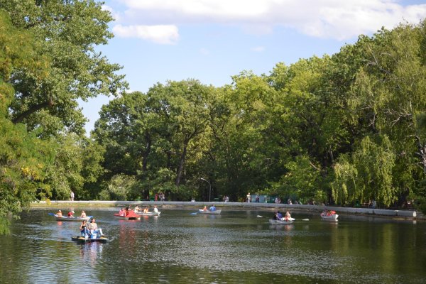 Городской парк Лукоморье Саратов
