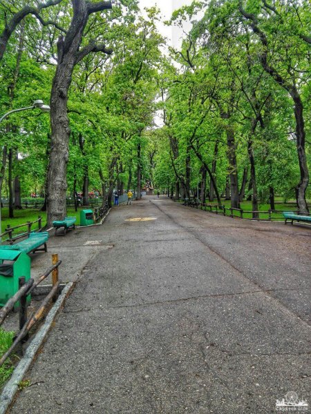 Городской парк имени Горького Саратов