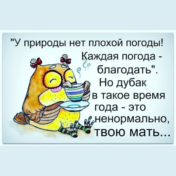 У природы нет плохой погоды прикол