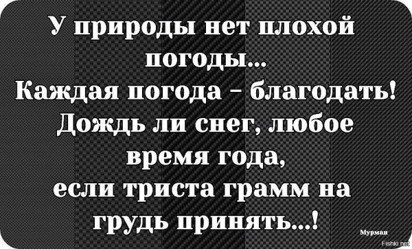 У природы нет плохой погоды всякая погода Благодать