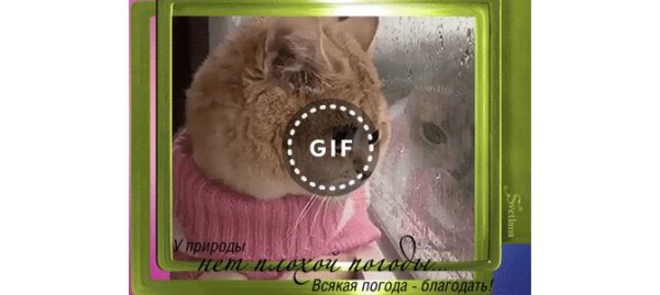 Открытки каждая погода Благодать