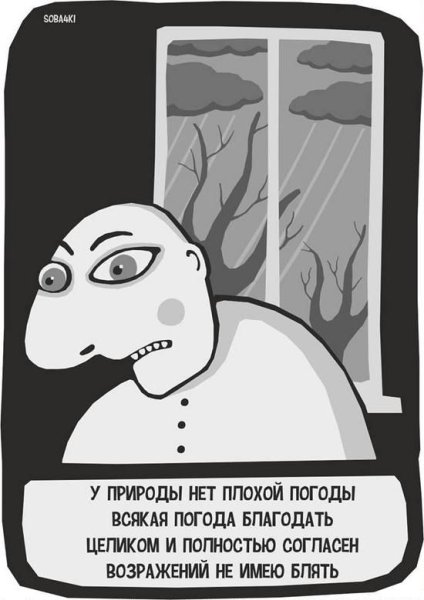 У природы нет плохой погодыммем