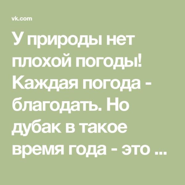 Нет плохой погоды