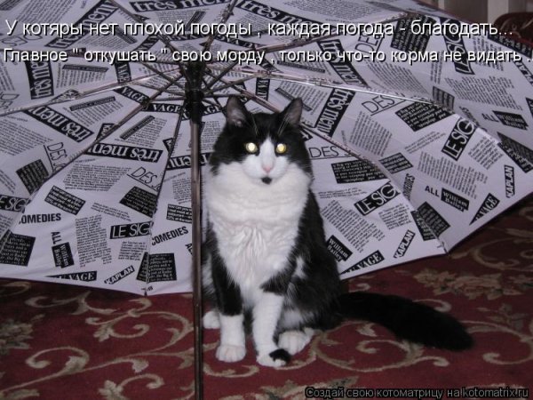 Откушать ли мне