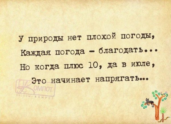 У природы нет плохой погоды цитаты