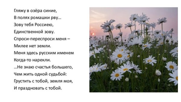 В полях ромашки рву зову тебя Россиею