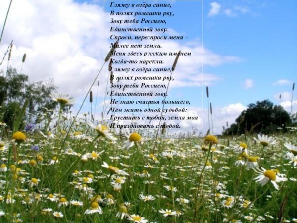 Гляжу в азерасиние вполях