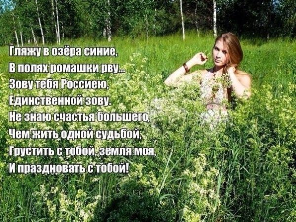 Песня гляжу в озера синие