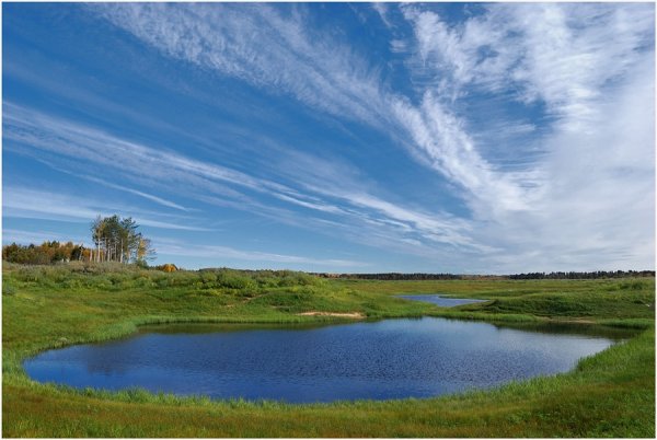 Гляжу в озера синие