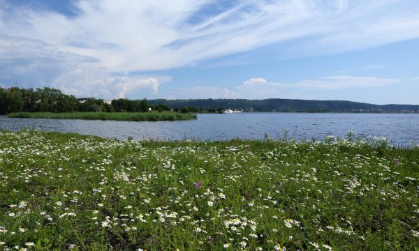 Гляжу в озера синие