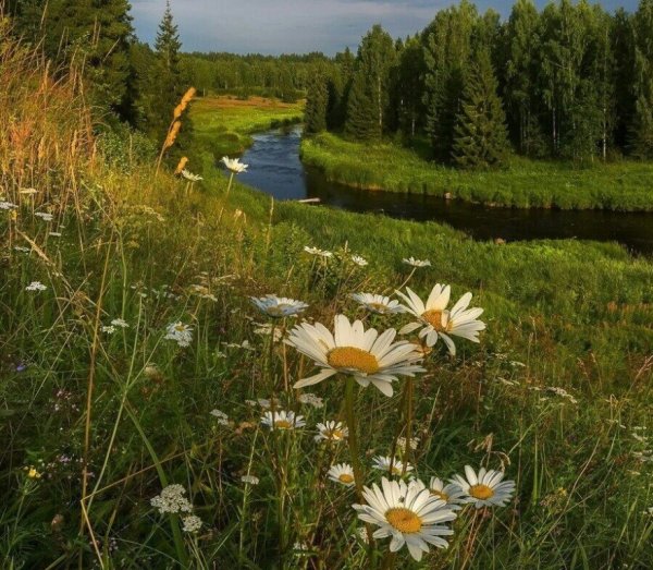 Красота русской природы
